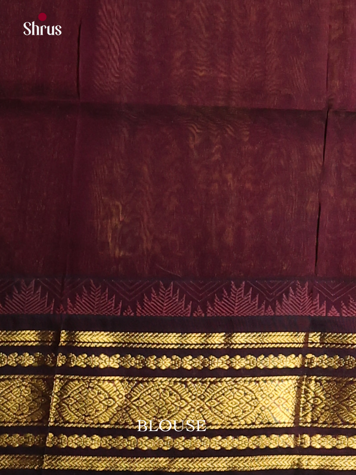 Cream & Brown Silk Cotton Korvai-kattams Saree