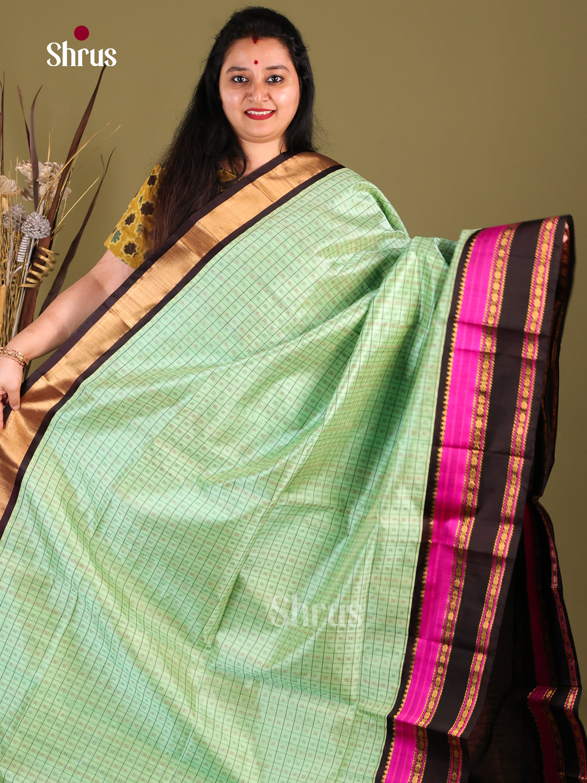 Enchanting Pista Green Silk Cotton Saree With Zari Checks, Buttas & Black Rettaipet Border - Shop on Shrus.com
