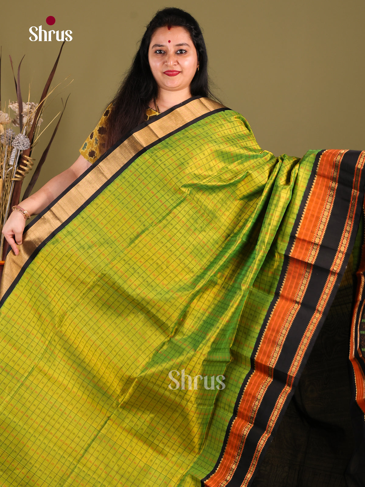 Light Green & Black Silk Cotton Korvai-kattams Saree - Shop on Shrus.com