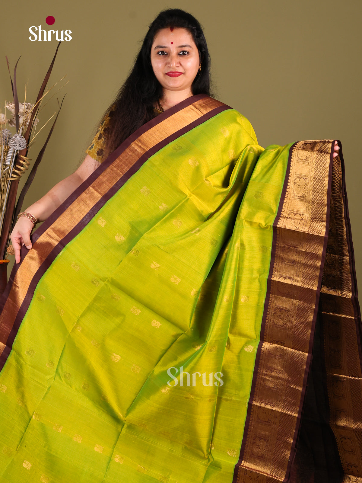 Light Green & Brown Silk Cotton Korvai-Big border Saree - Shop on Shrus.com