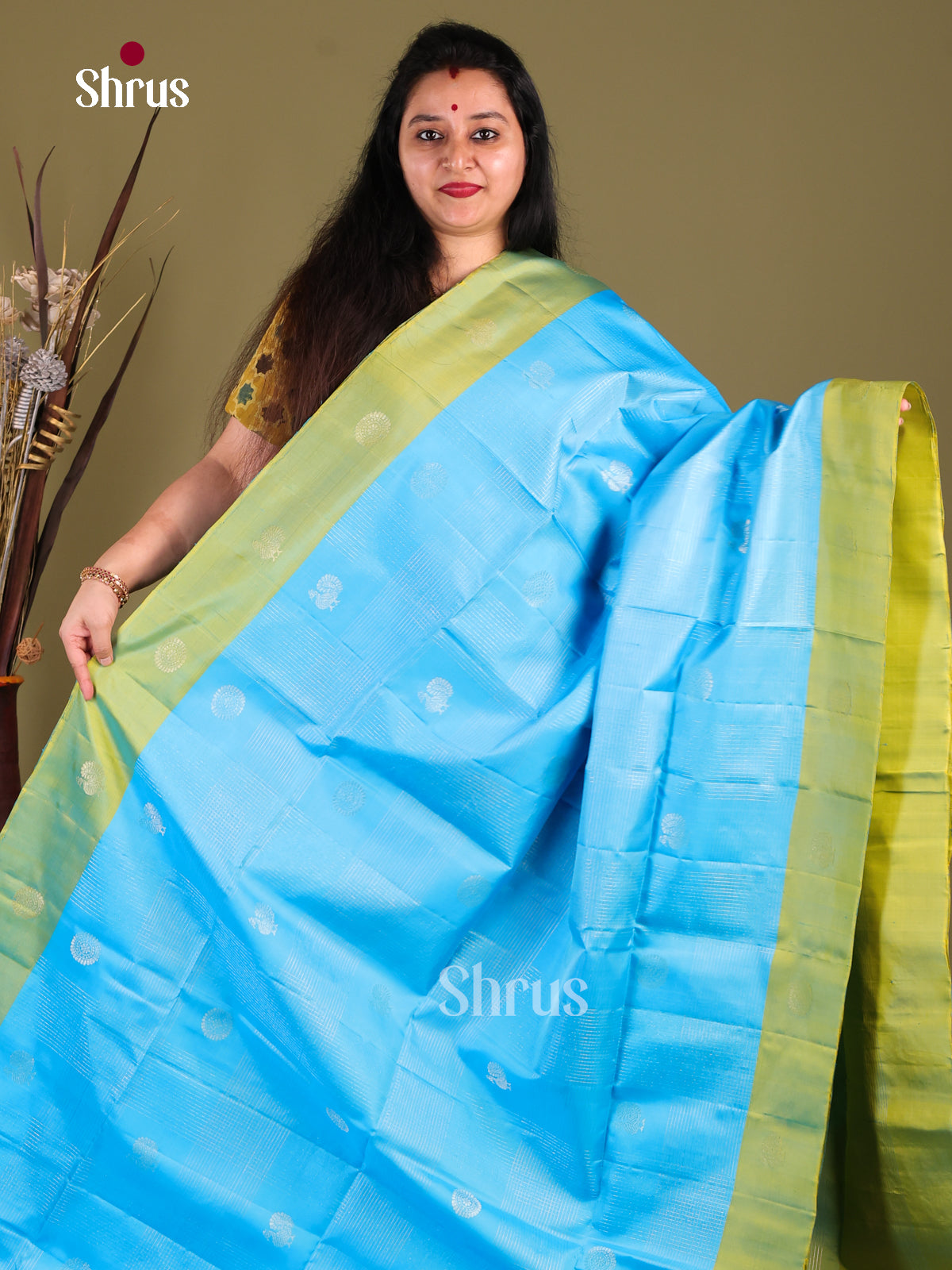 Ethereal Light Blue Soft Silk Saree with zari floral motifs & Green brocade pallu -1