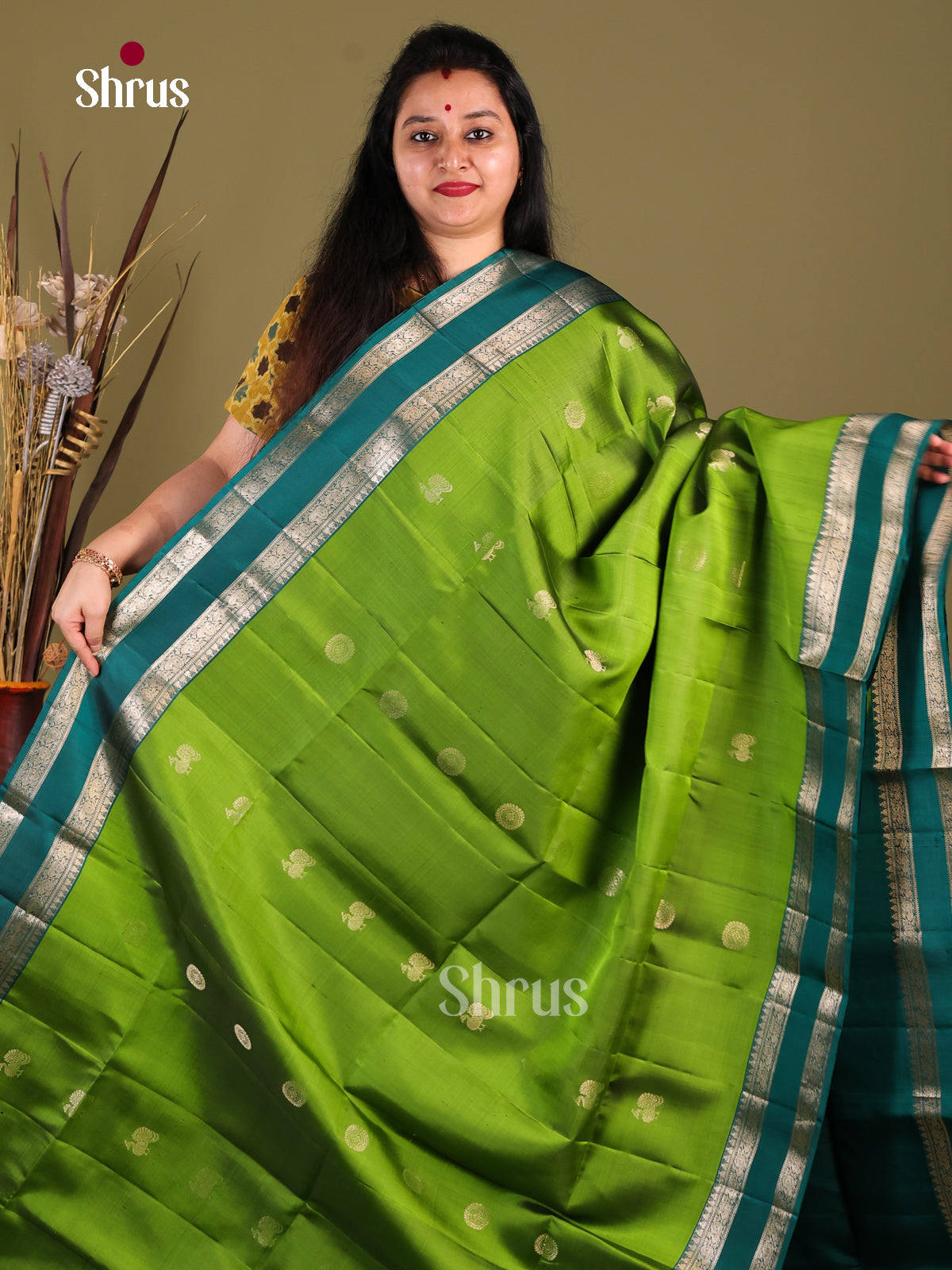 Light Green & Green Soft Silk Saree gleams with gold zari peacock , floral buttas - Shop on Shrus.com