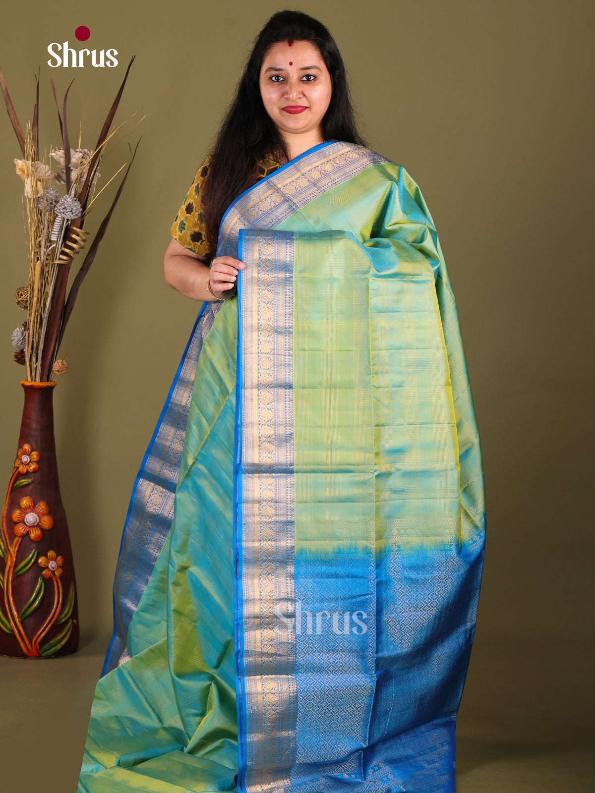 Dreamy Pastel Green Soft Silk Saree with zari checks & Blue Zari Woven floral vines border