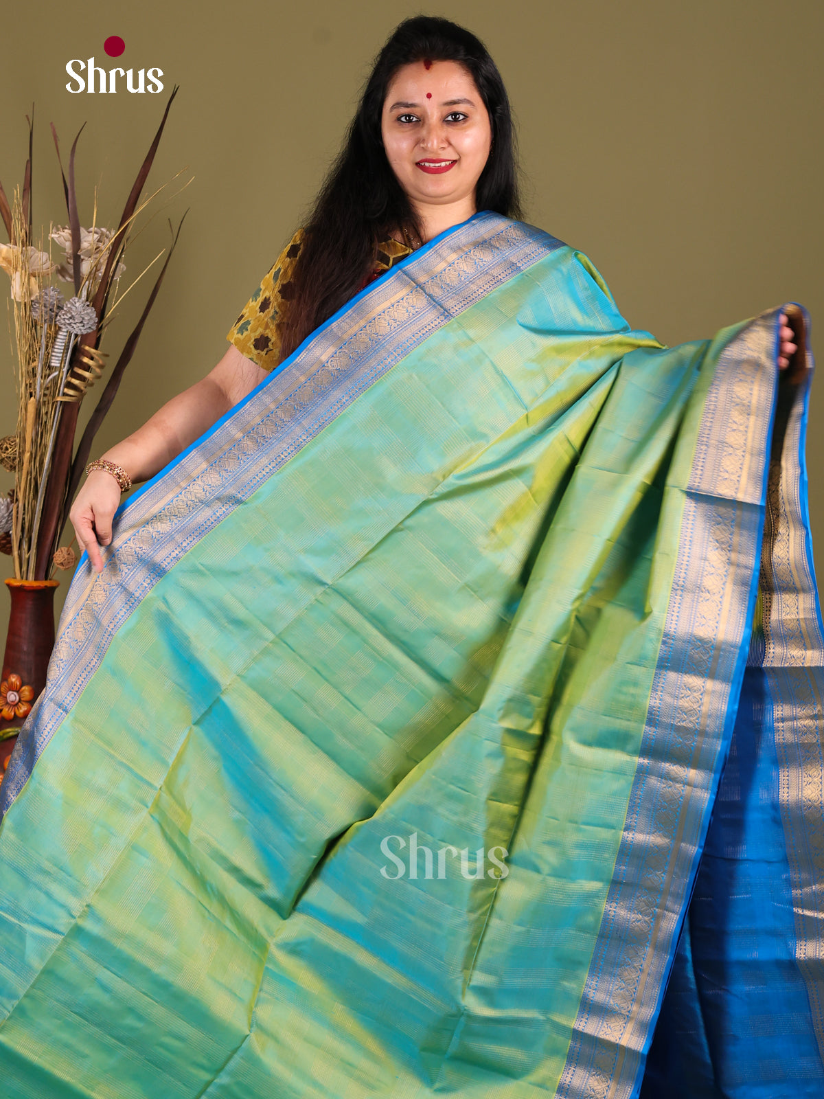 Dreamy Pastel Green Soft Silk Saree with zari checks & Blue Zari Woven floral vines border -1
