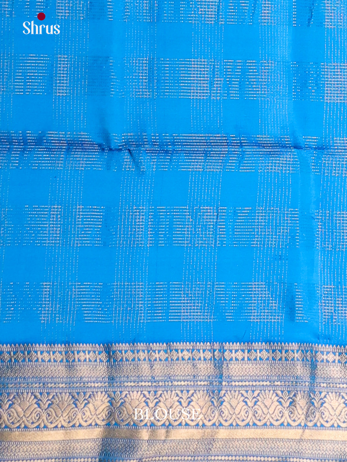 Dreamy Pastel Green Soft Silk Saree with zari checks & Blue Zari Woven floral vines border -2