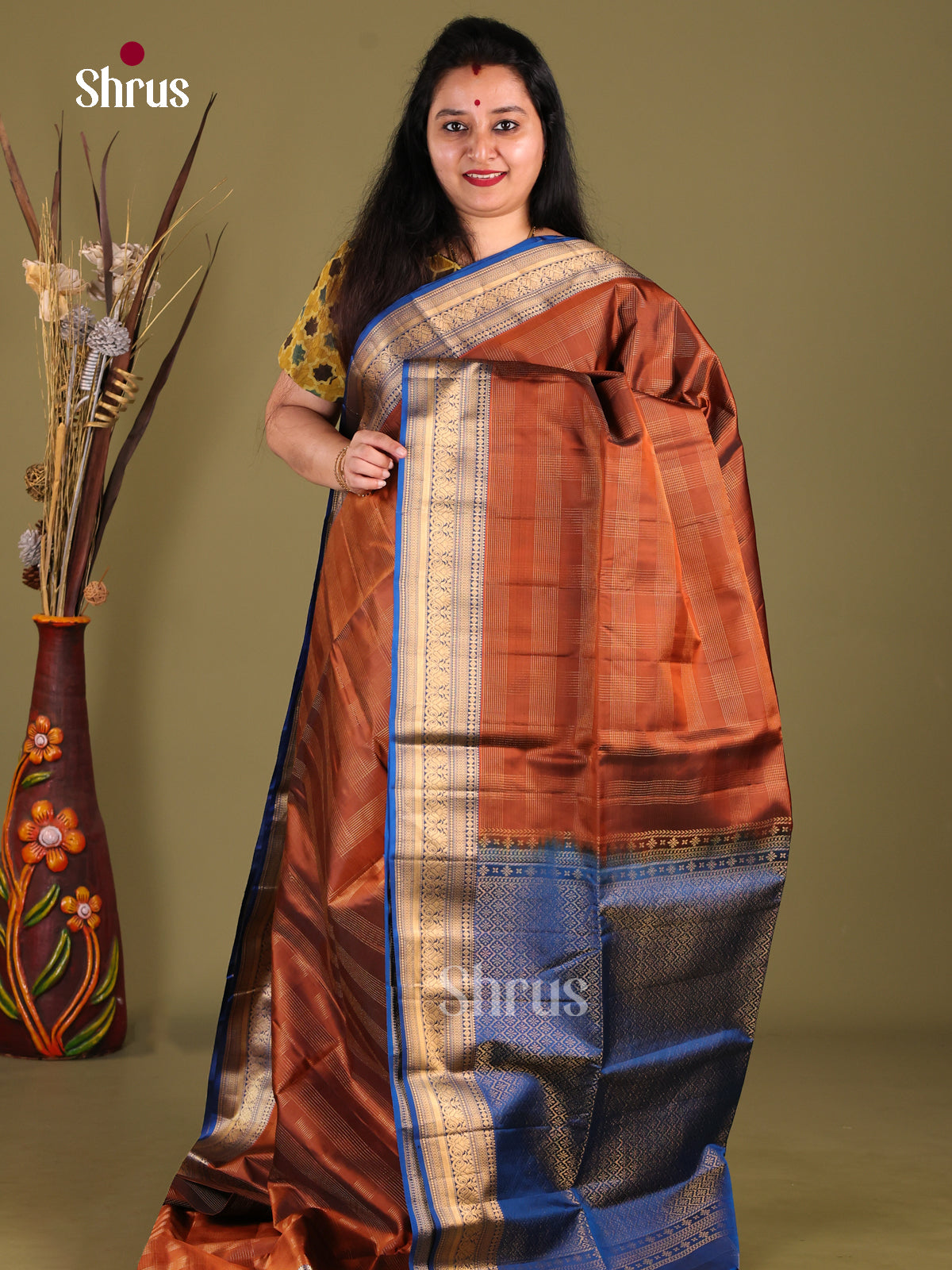 Dazzling Brown Soft Silk Saree with zari checks & rich Blue border
