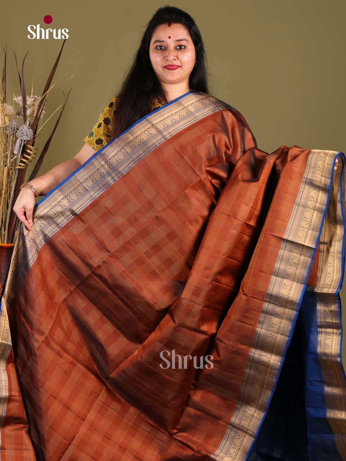 Dazzling Brown Soft Silk Saree with zari checks & rich Blue border