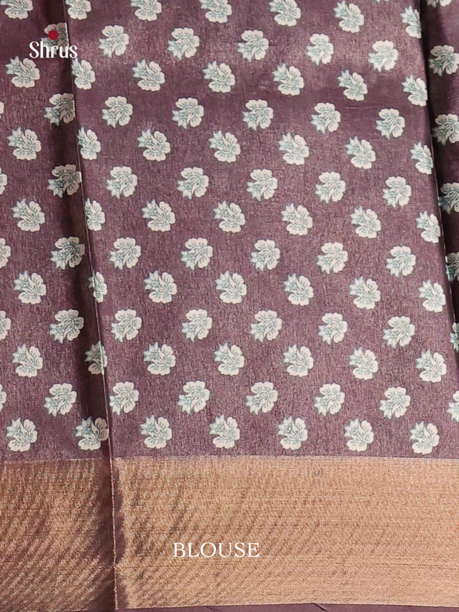 Brown - Butter silk Saree