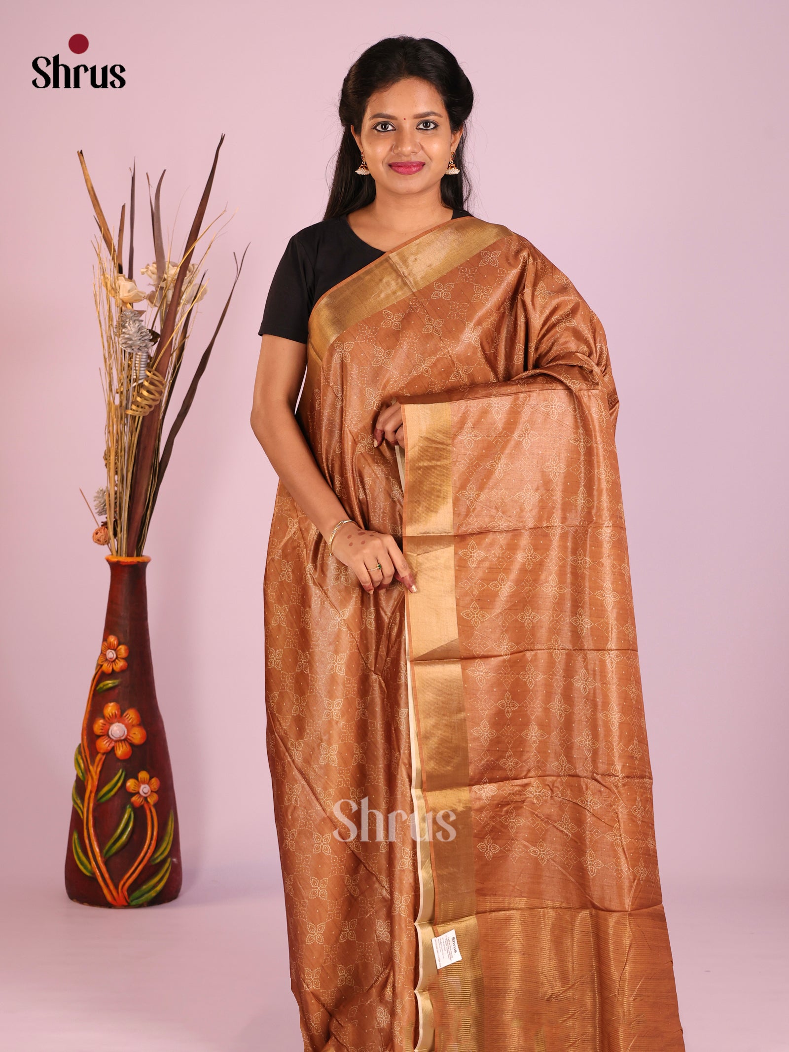 Brown - Butter silk Saree