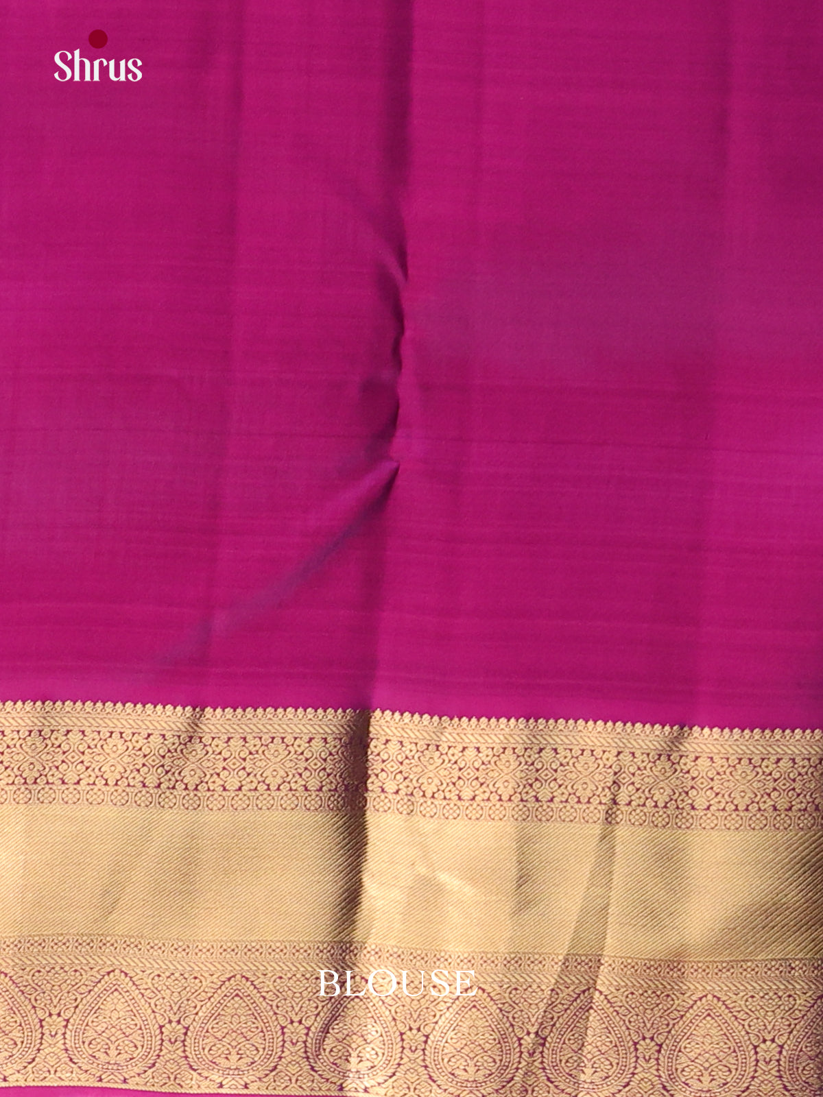 Blue & Purple - Kanchipuram-halfpure Saree