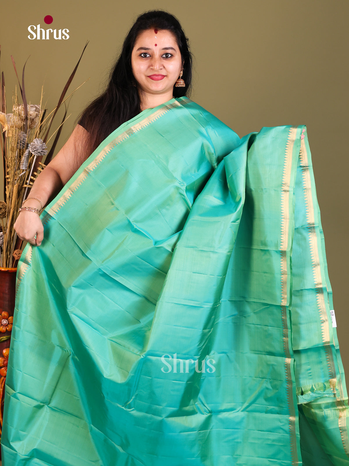 Sky Blue Kanchipuram silk Saree -1