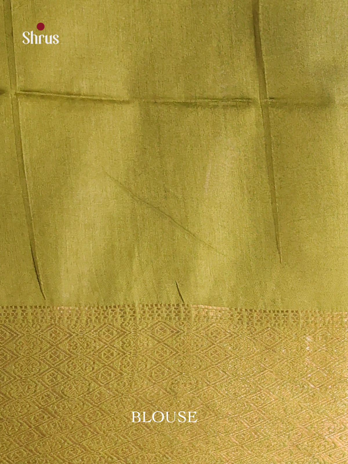 Cream & Green - Shibori Saree