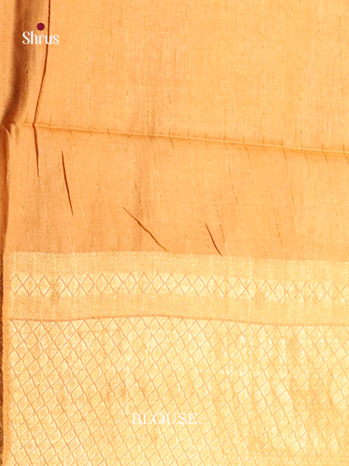 Brown & Beige - Shibori Saree