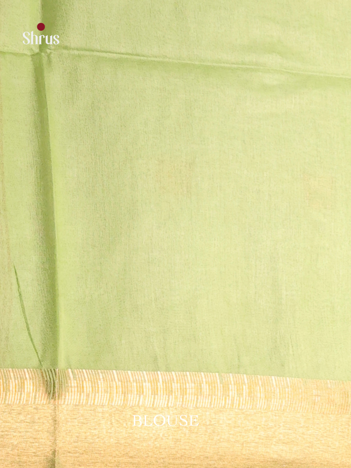 Cream & Green - Shibori Saree