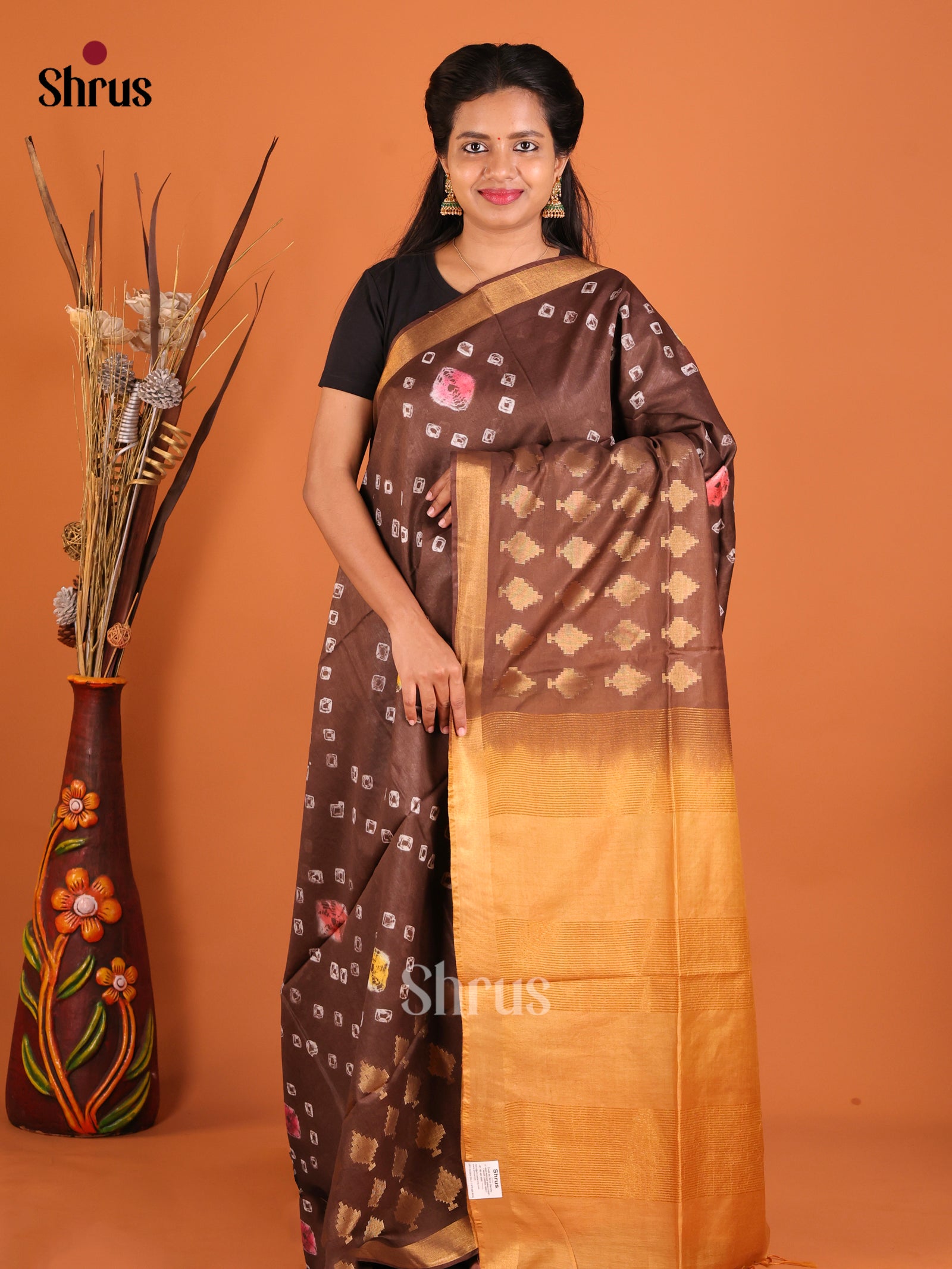 Brown & Beige - Shibori Saree
