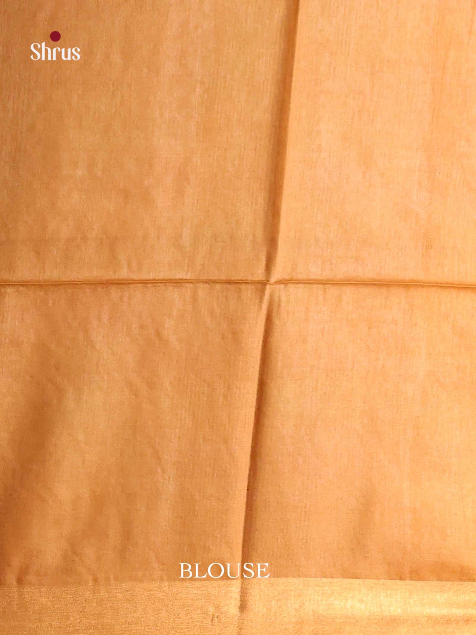 Brown & Beige - Shibori Saree