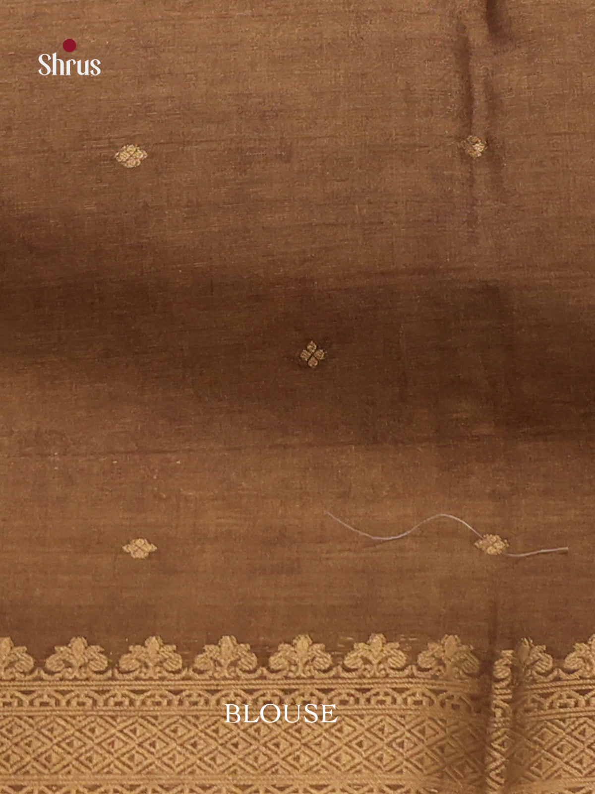 Beige & brown - Semi Tussar Saree