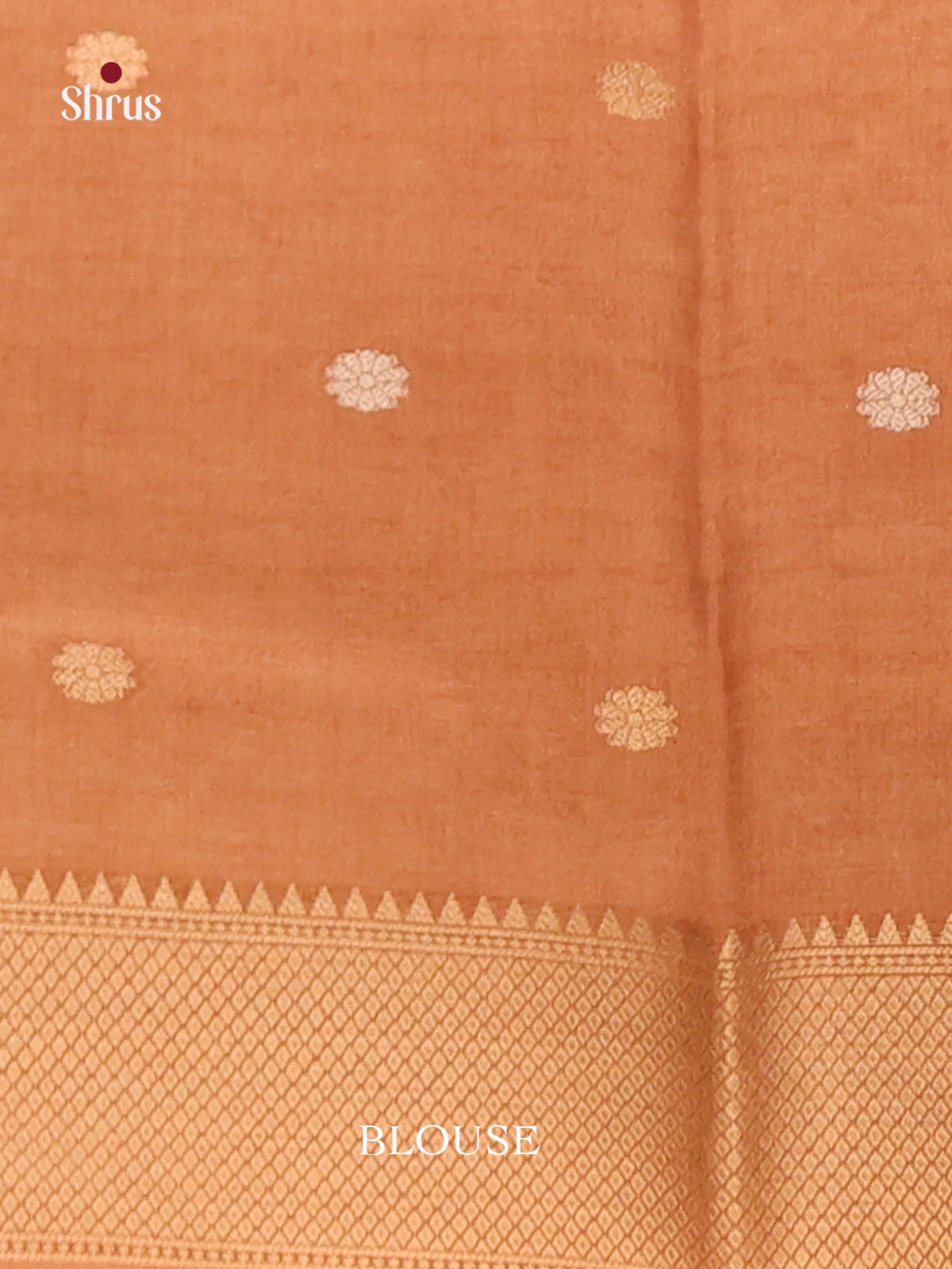 Peach & Brown - Semi Tussar Saree