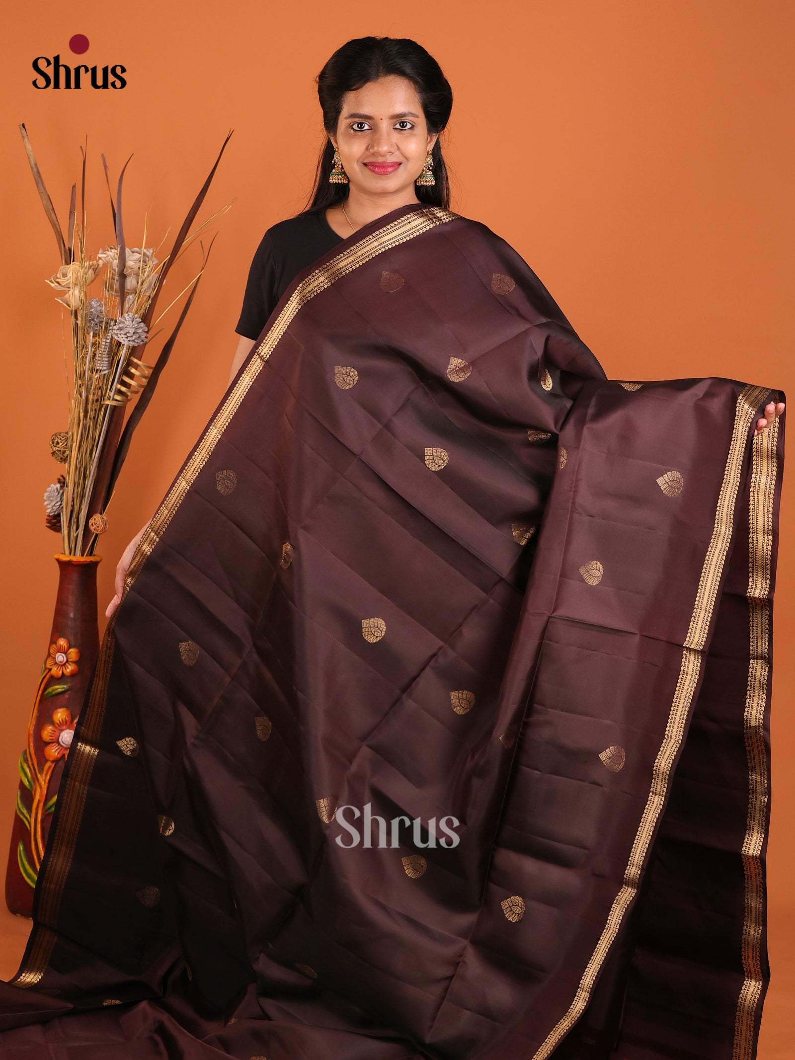 Magnificent Coffee Brown Soft Silk Saree With Golden Motifs & ZAri Woven Small Border 1