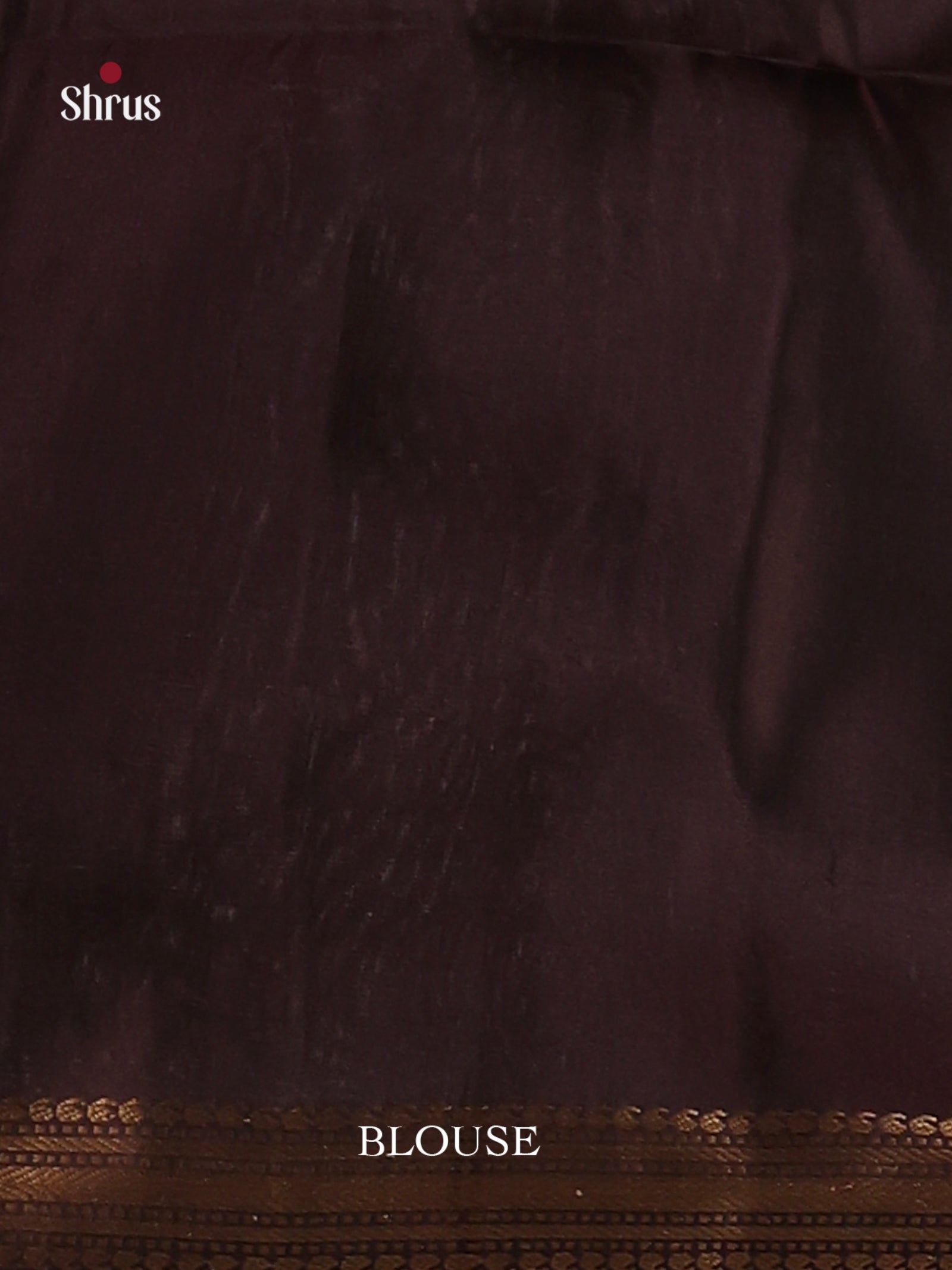 Magnificent Coffee Brown Soft Silk Saree With Golden Motifs & ZAri Woven Small Border 2