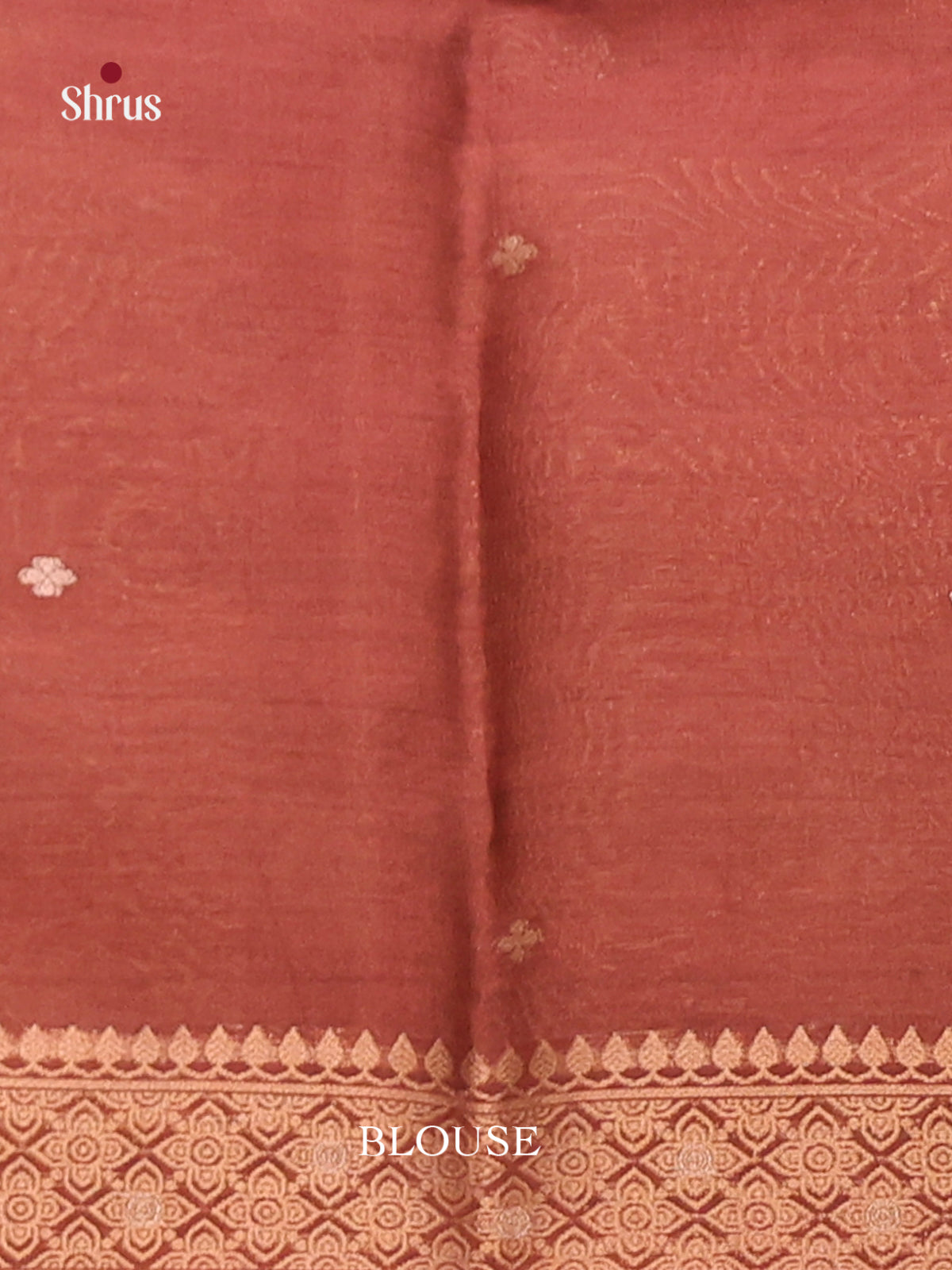 Brown - Semi Tussar Saree
