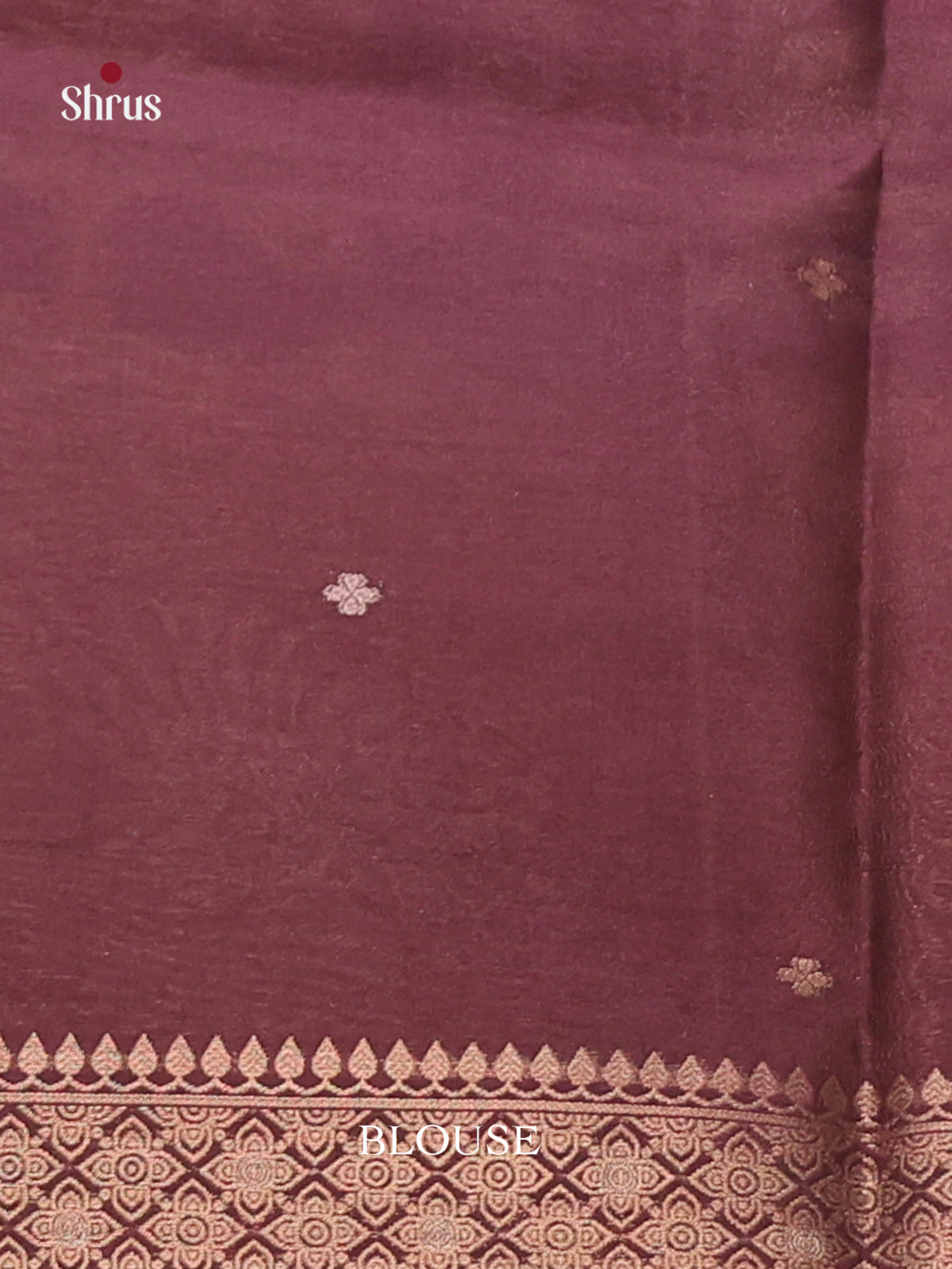Brown - Semi Tussar Saree
