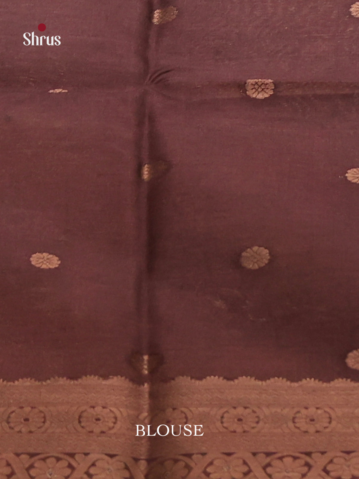 Brown & Blue - Semi Tussar Saree