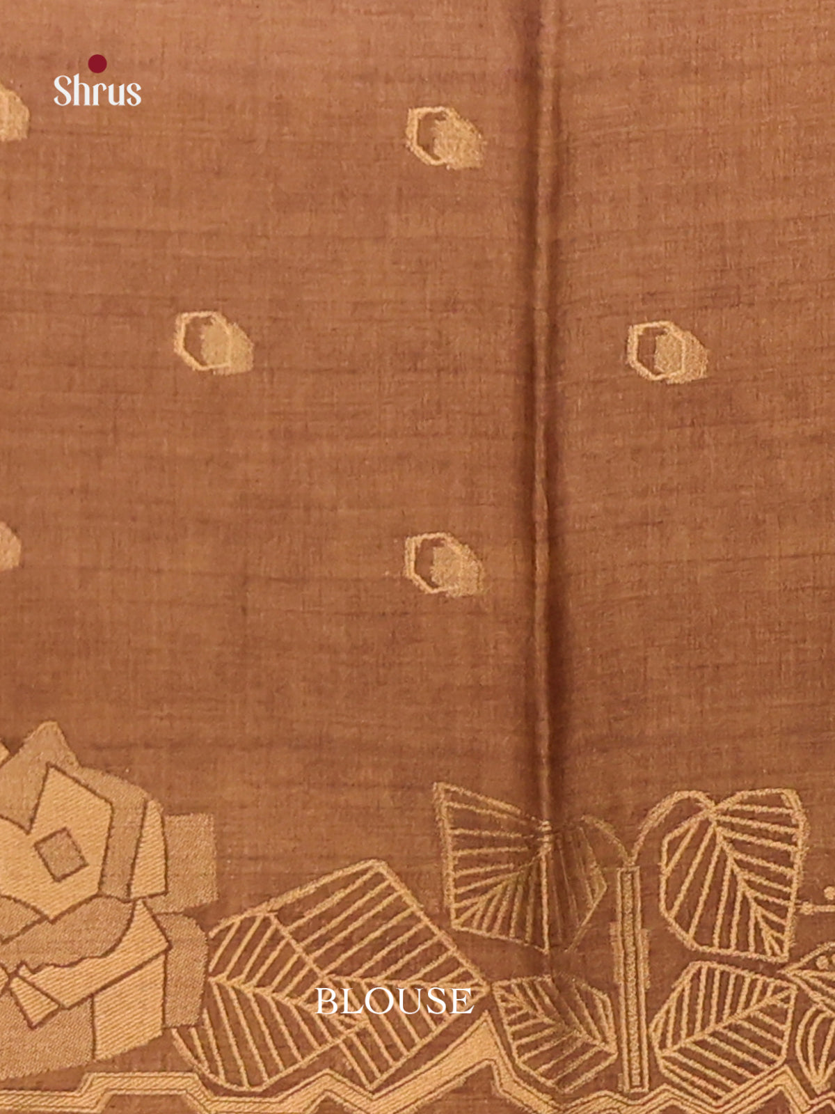 Beige & Brown - Semi Tussar Saree