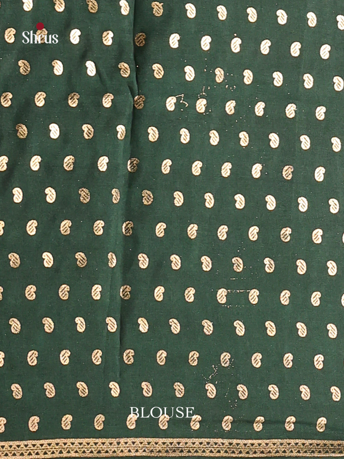 DIS06142 - Pashmina Cotton Saree