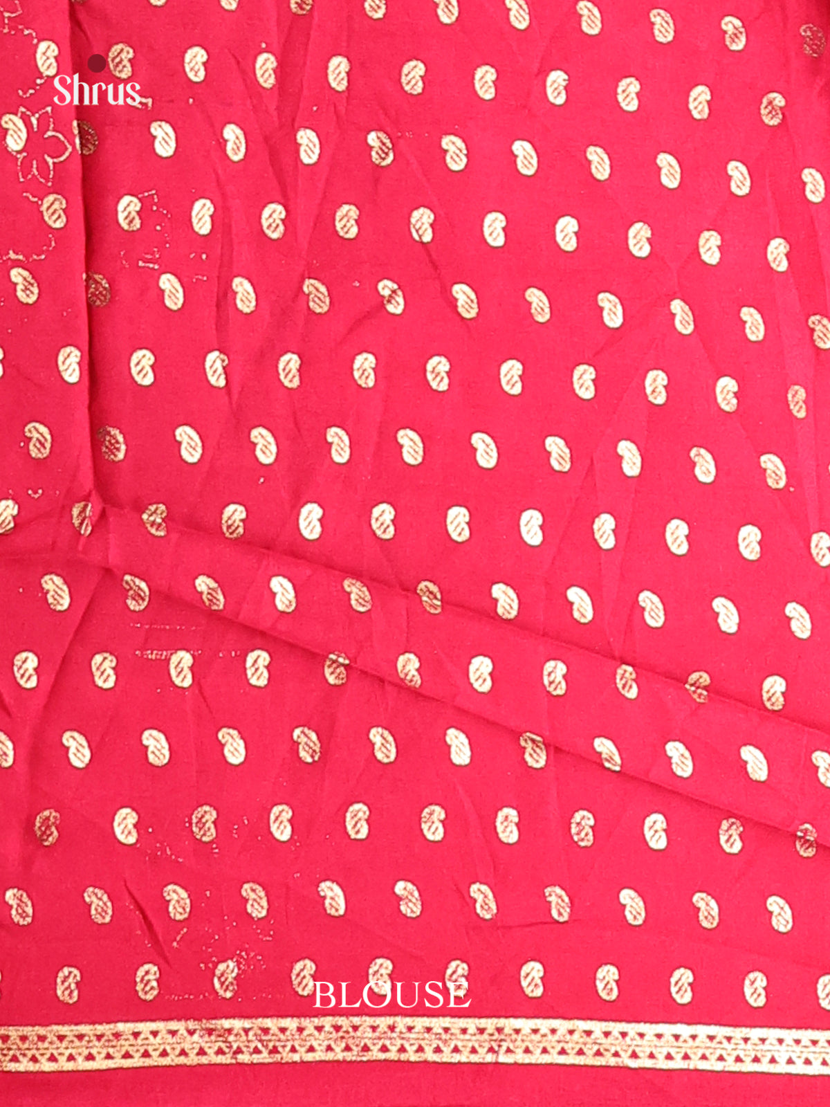 DIS06143 - Pashmina Cotton Saree