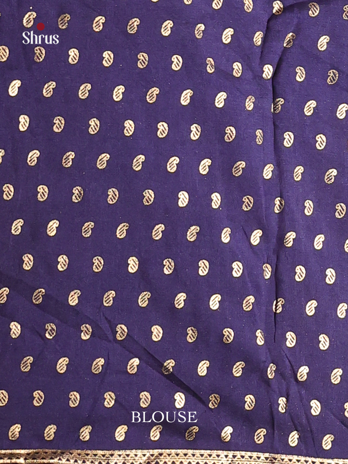 DIS06145 - Pashmina Cotton Saree