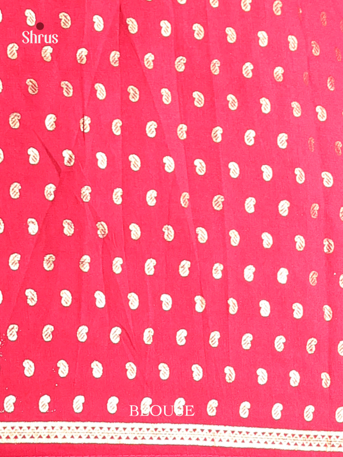 DIS06147 - Pashmina Cotton Saree