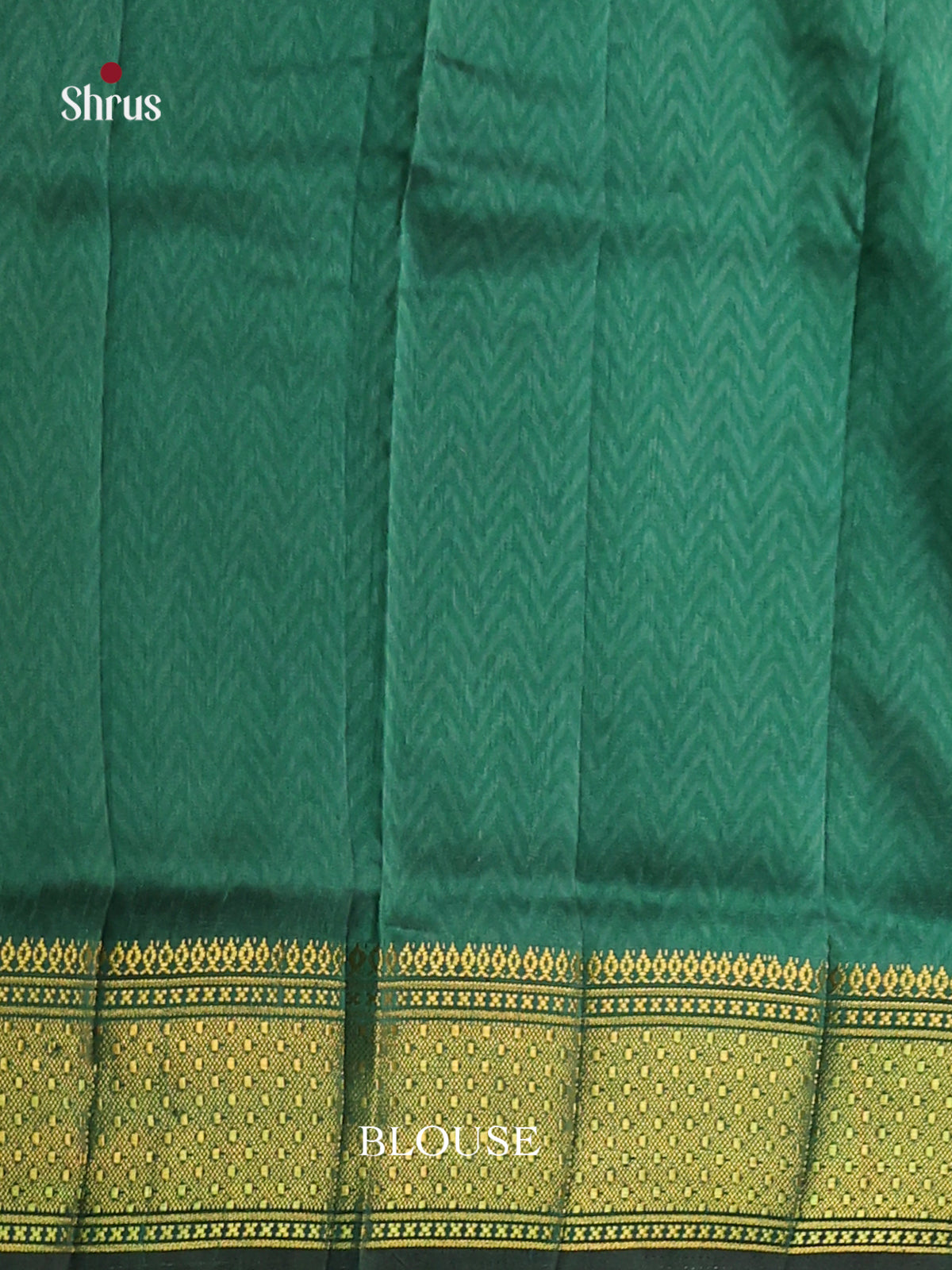 Blue & Green - Semi Patola Saree