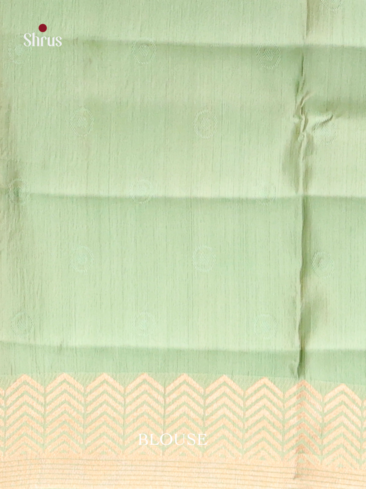 Pista Green - Semi Rawsilk Saree