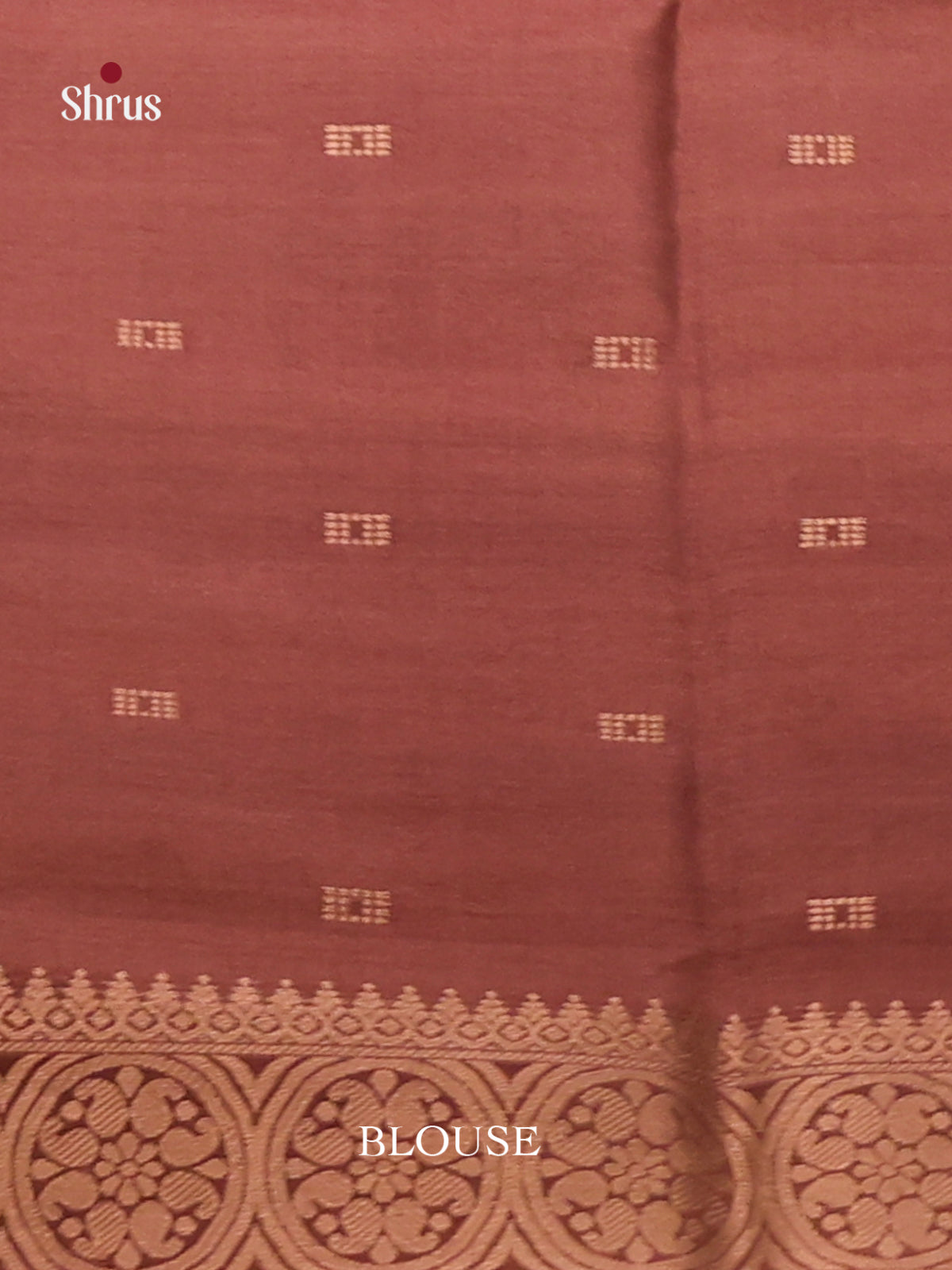 Brown - Semi Tussar Saree