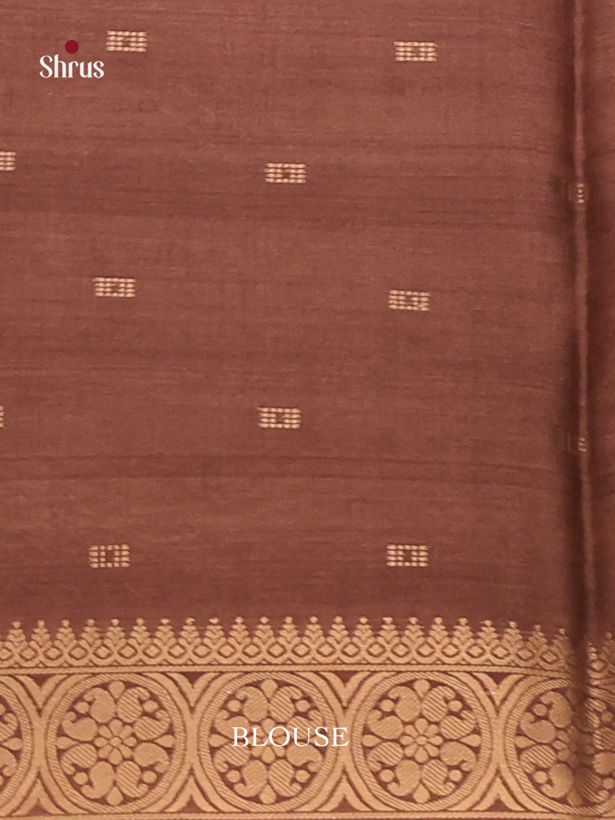 Blue & Brown - Semi Tussar Saree