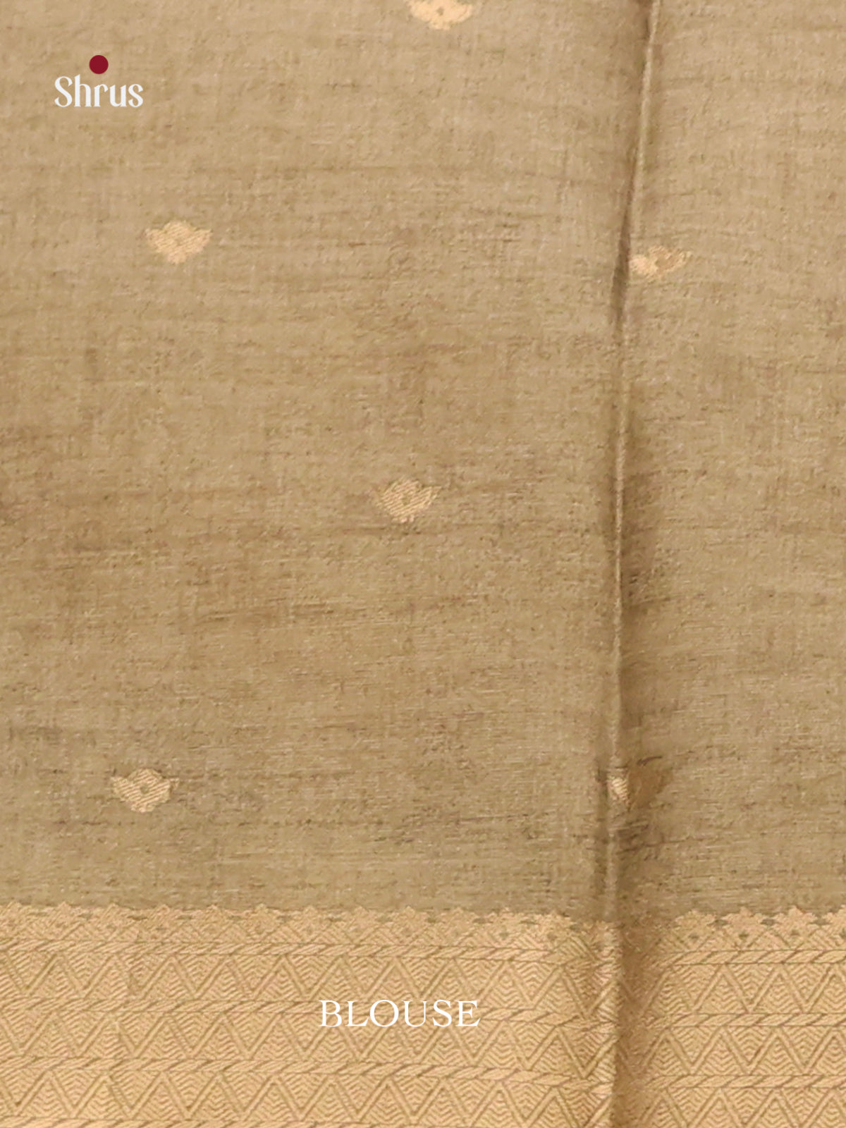 Brown & Green - Semi Tussar Saree