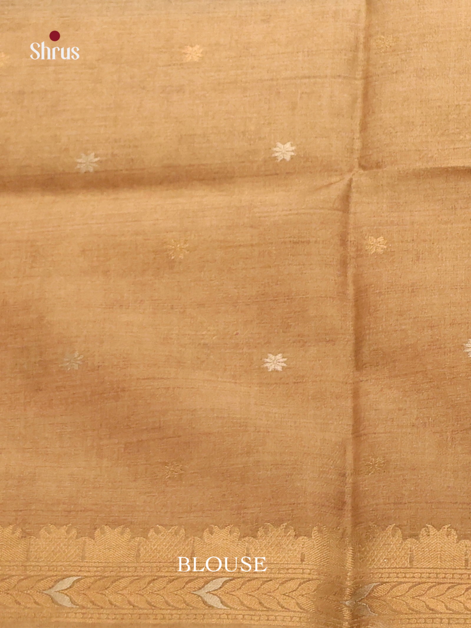 Pastel Blue & Beige - Semi Tussar Saree