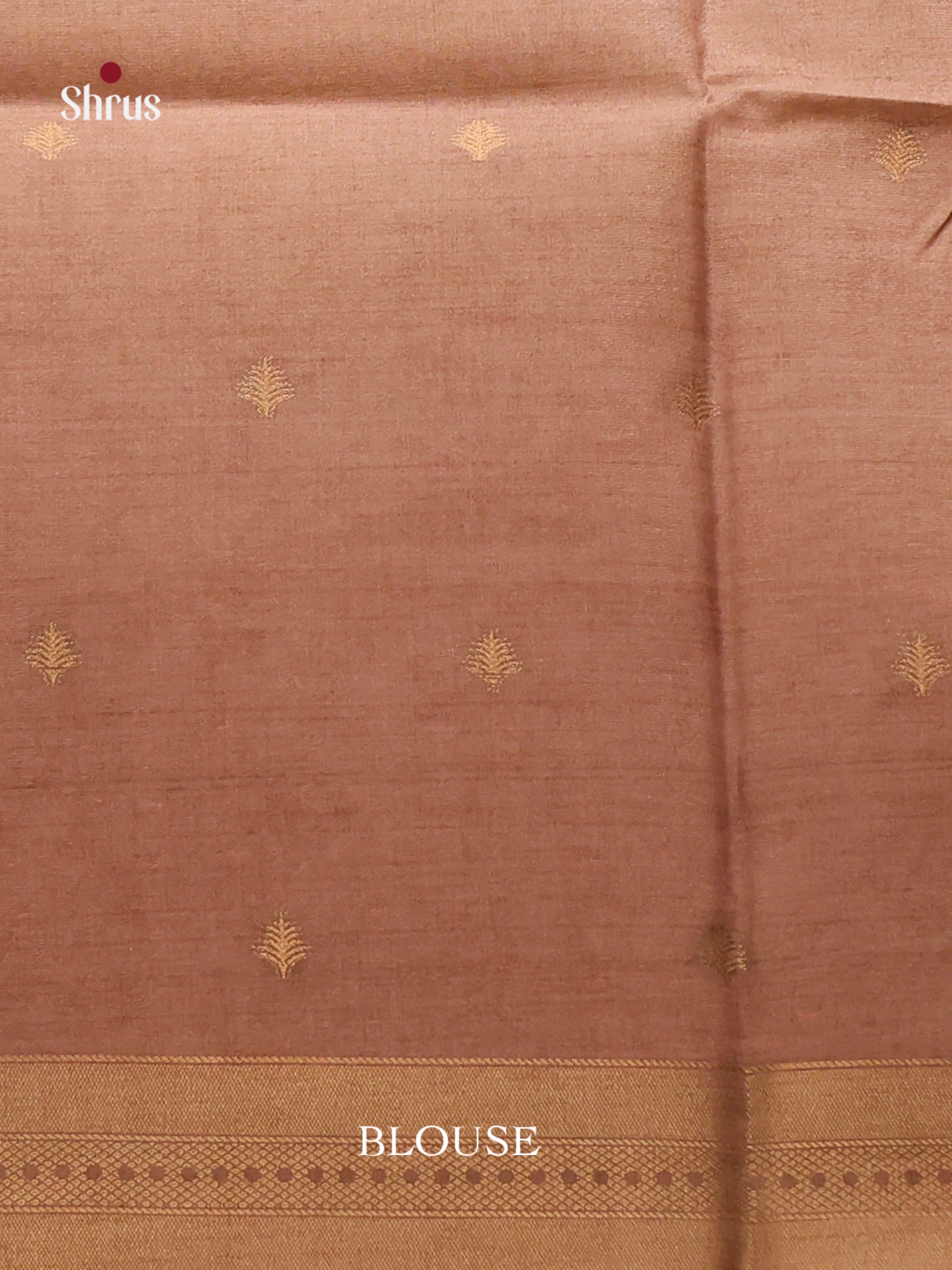 DIS08599 - Semi Tussar Saree