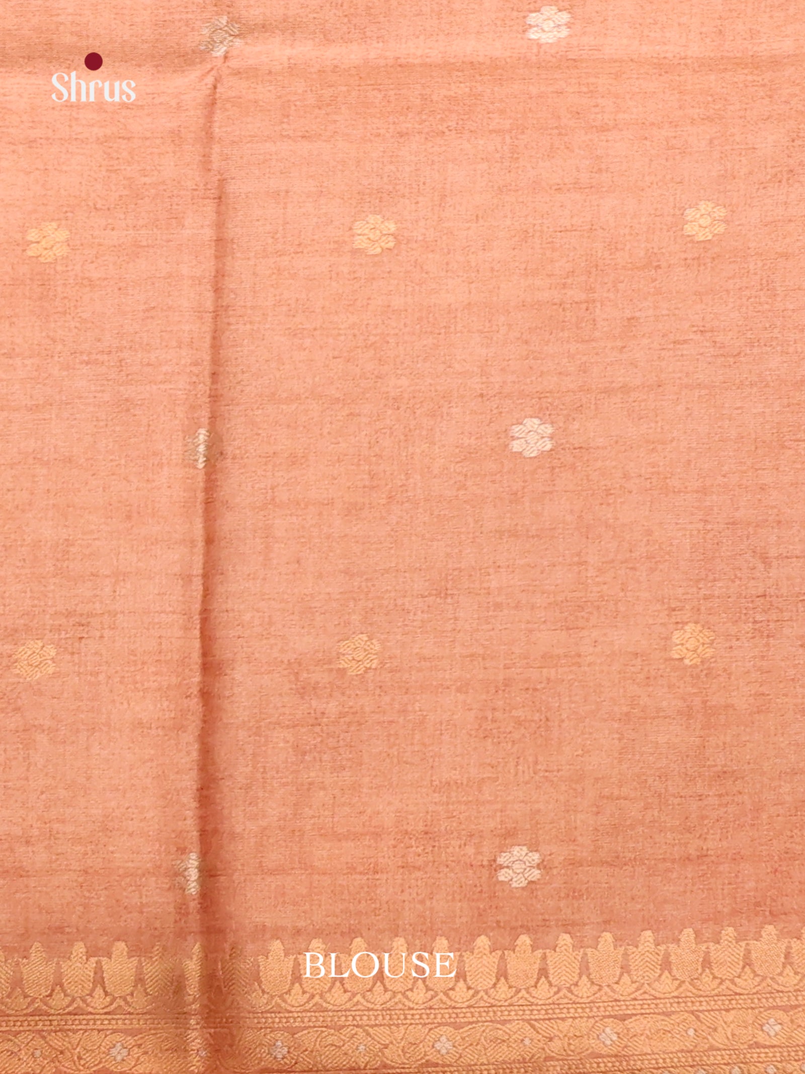 DIS08611 - Semi Tussar Saree