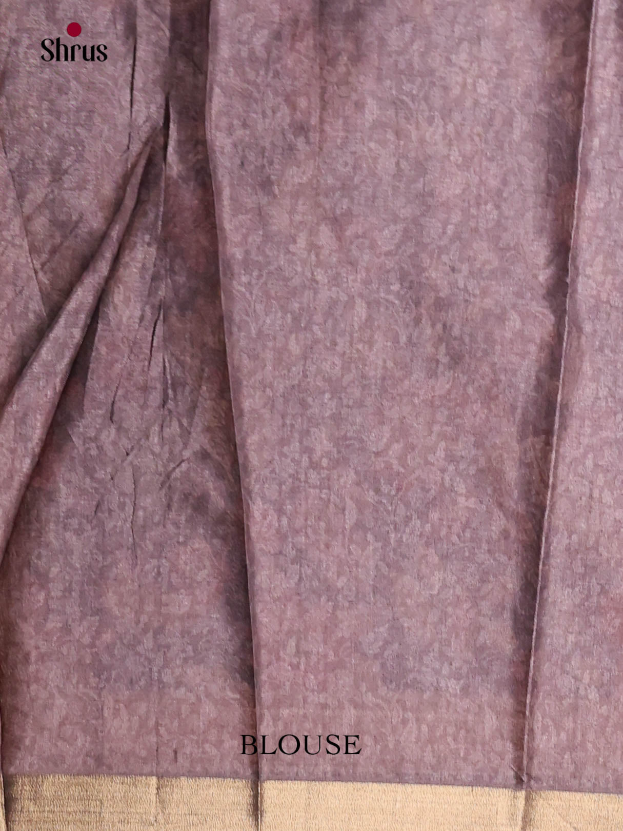 Brown - Art Modal Saree