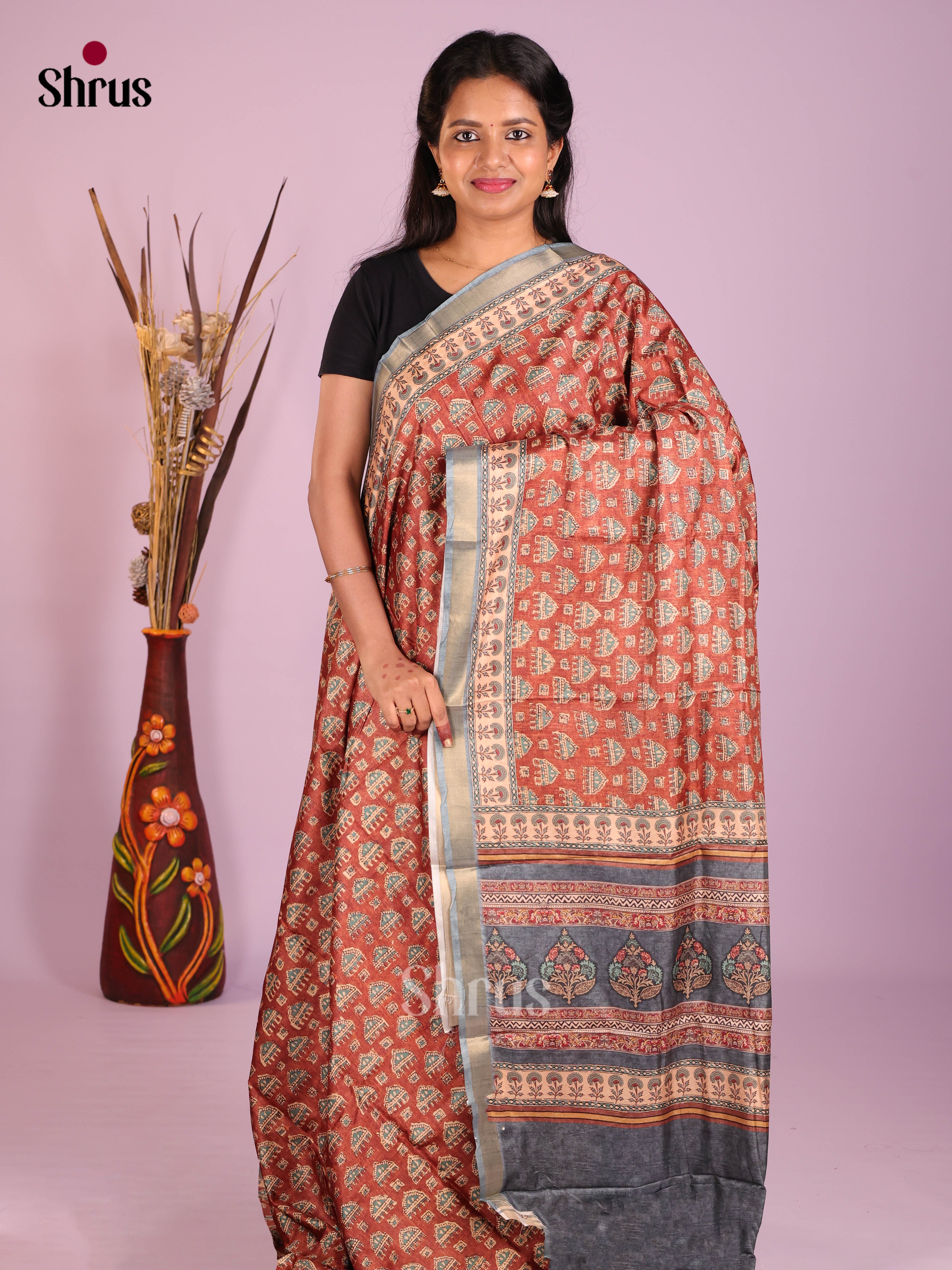 Brown & Grey - Art Modal Saree