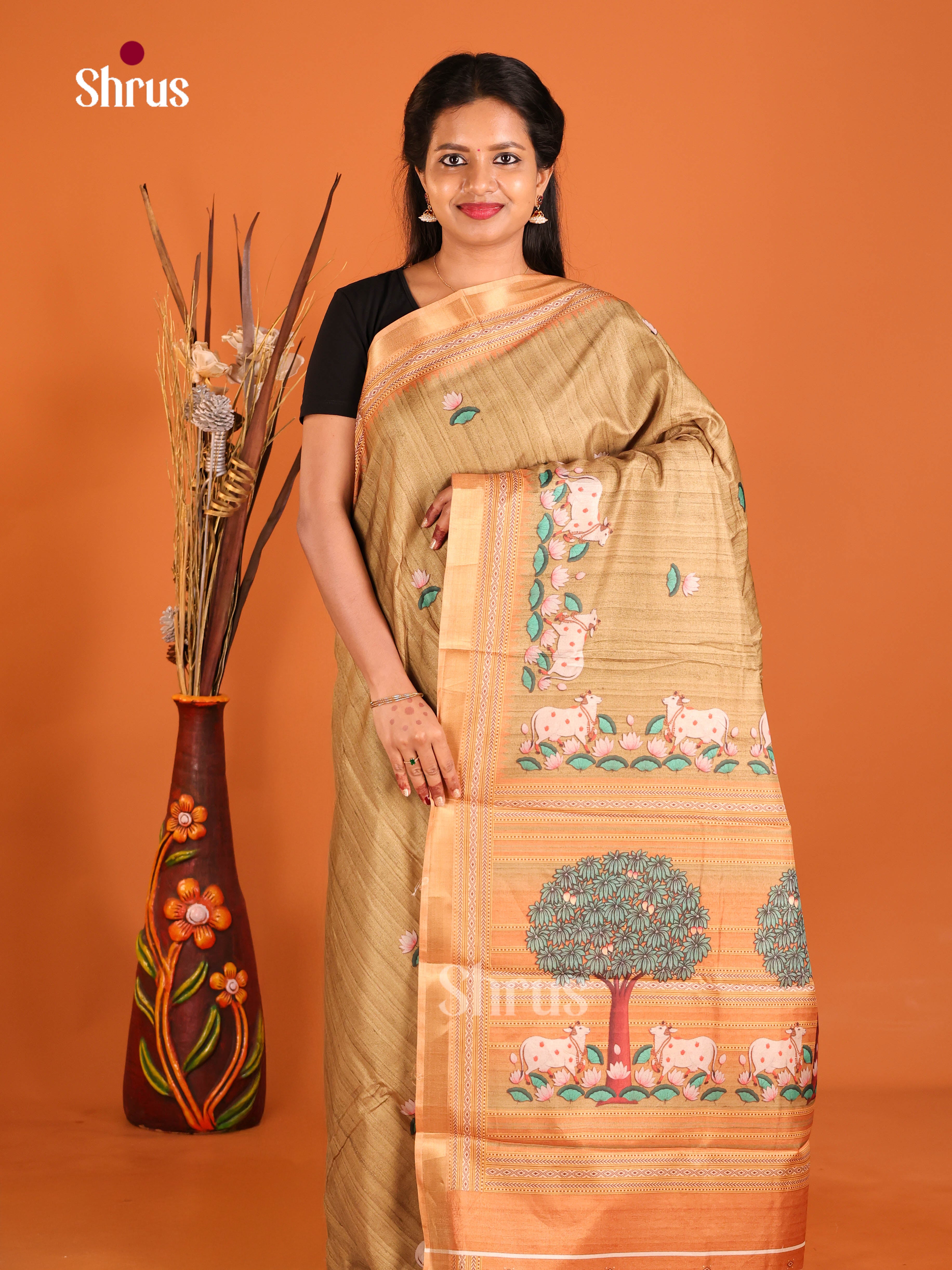 Beige & Brown - Art Modal Saree