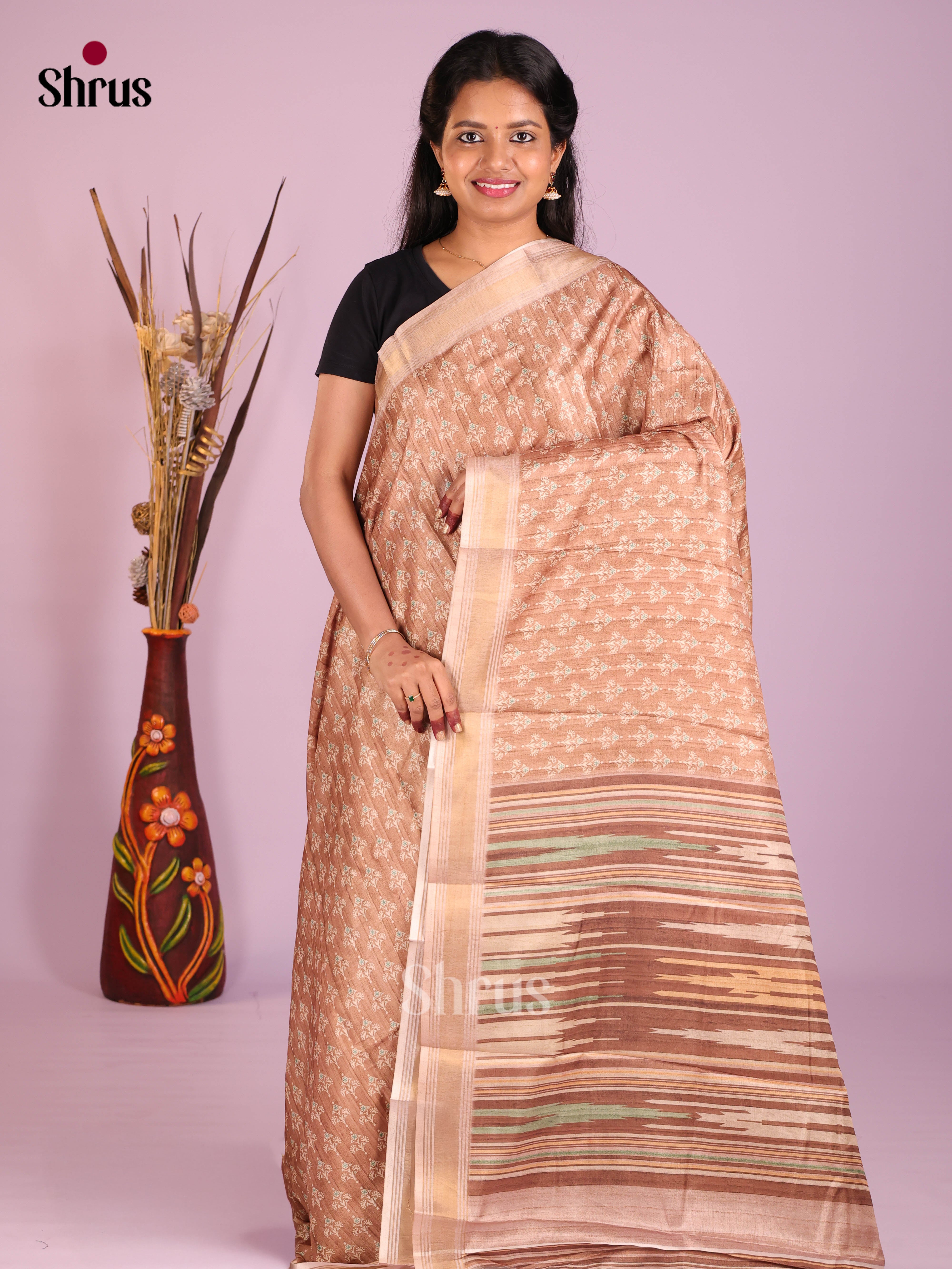 Brown - Art Modal Saree