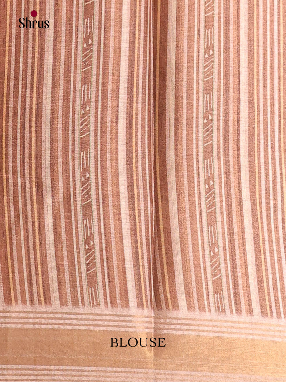 Brown - Art Modal Saree