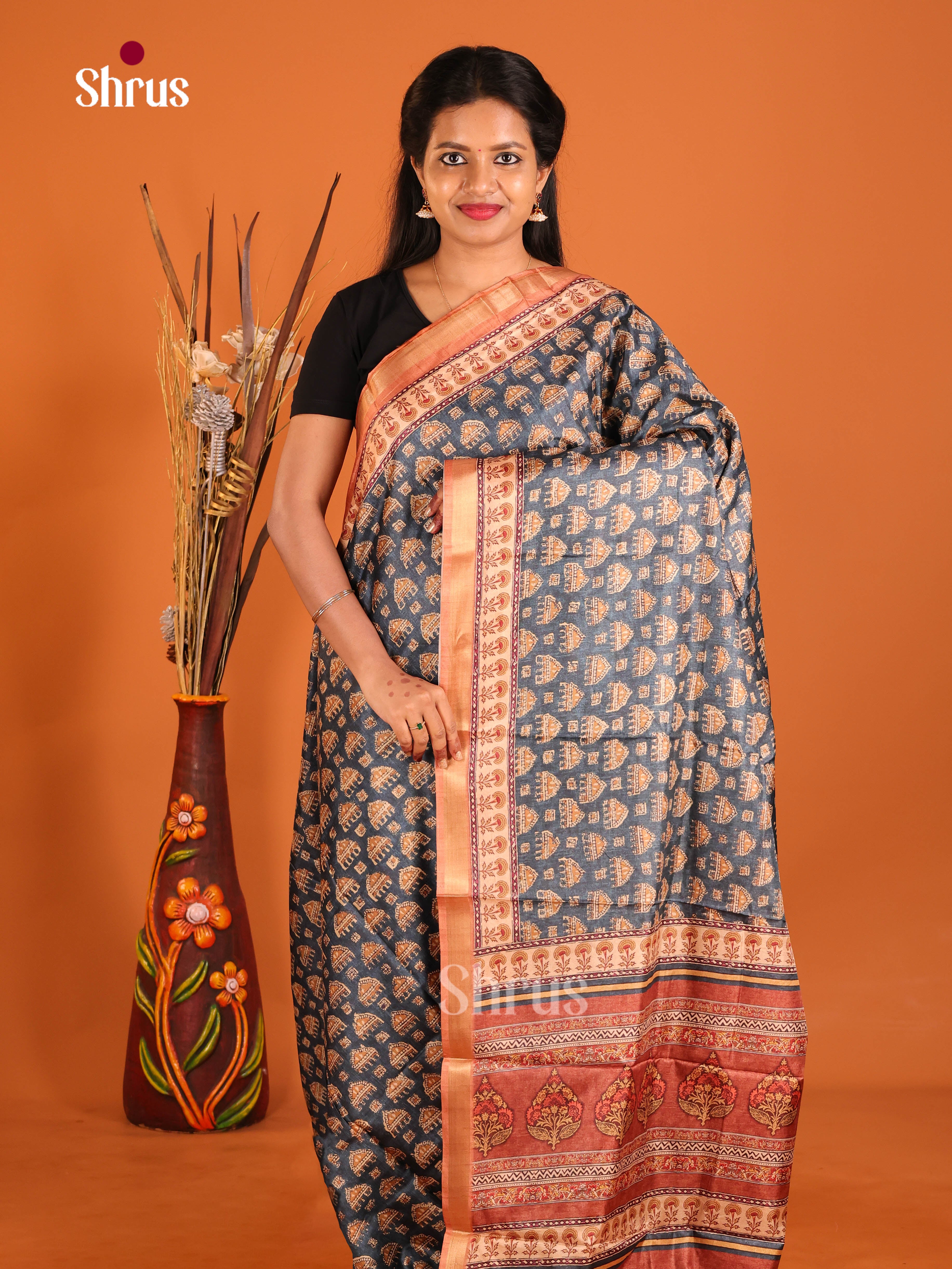 Blue & Brown - Art Modal Saree