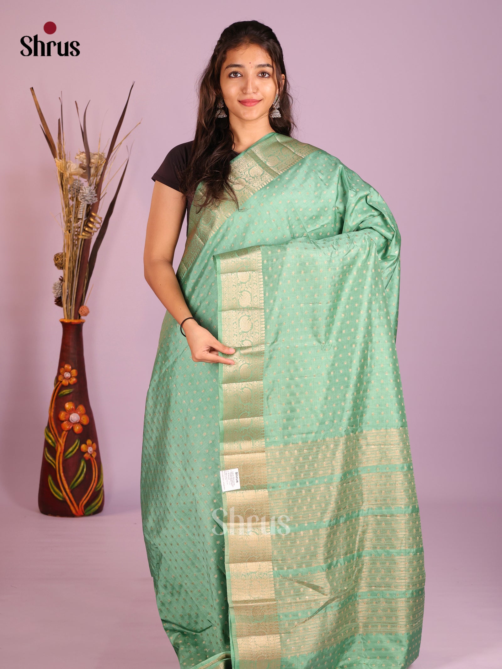 DIS09480 - Semi Rawsilk Saree