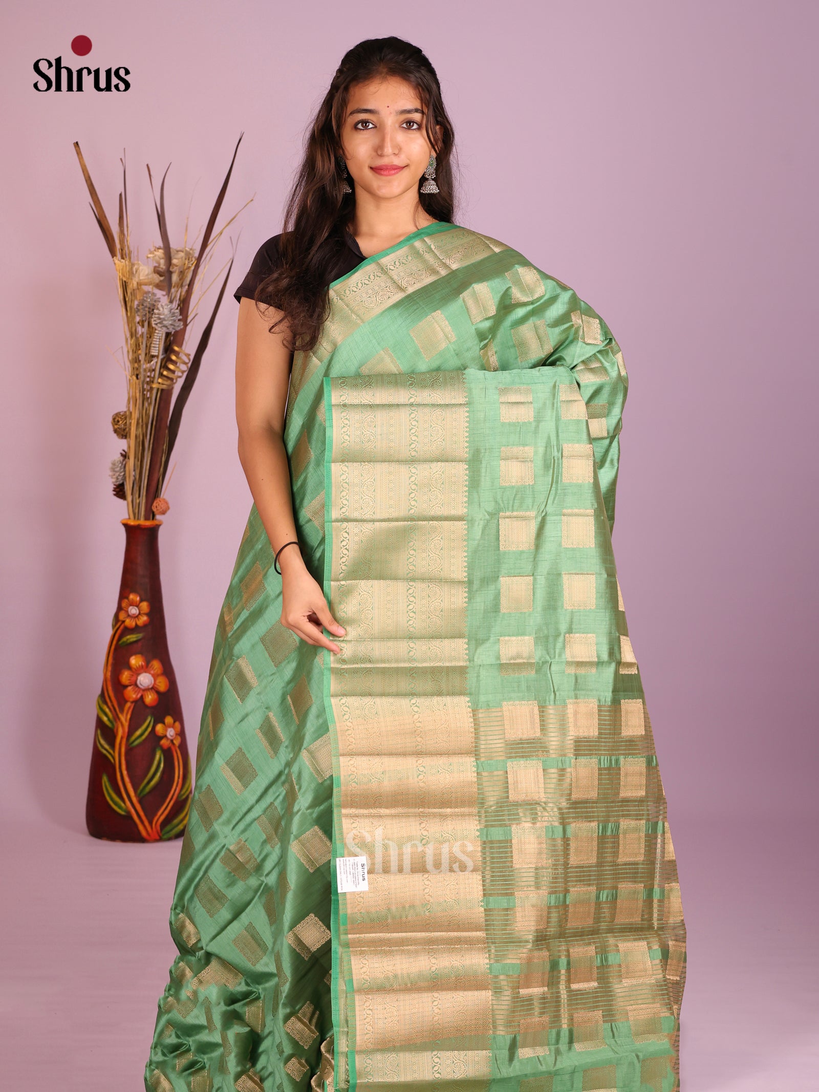 DIS09549 - Semi Rawsilk Saree