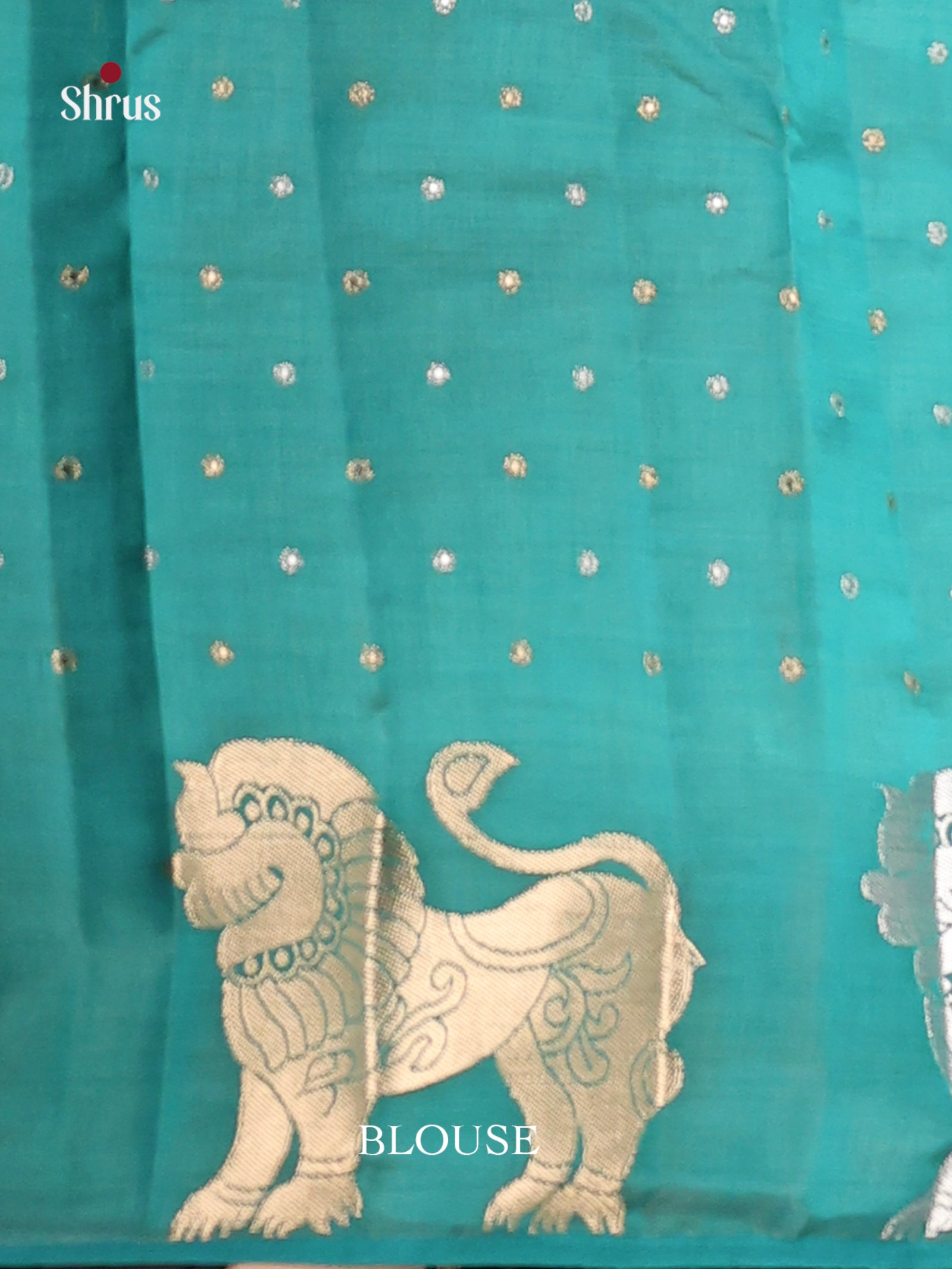 DIS09557 - Semi Rawsilk Saree
