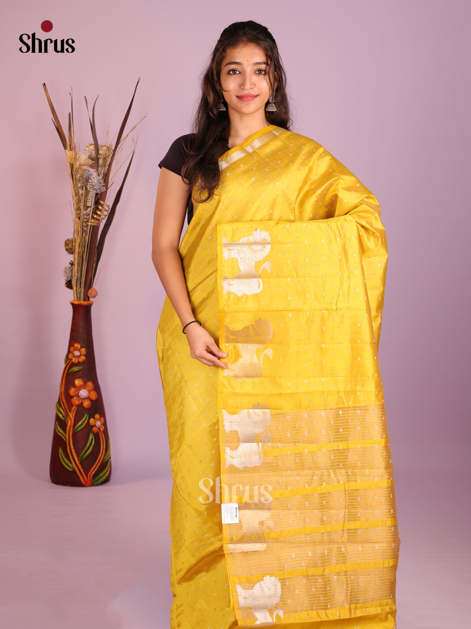 DIS09559 - Semi Rawsilk Saree